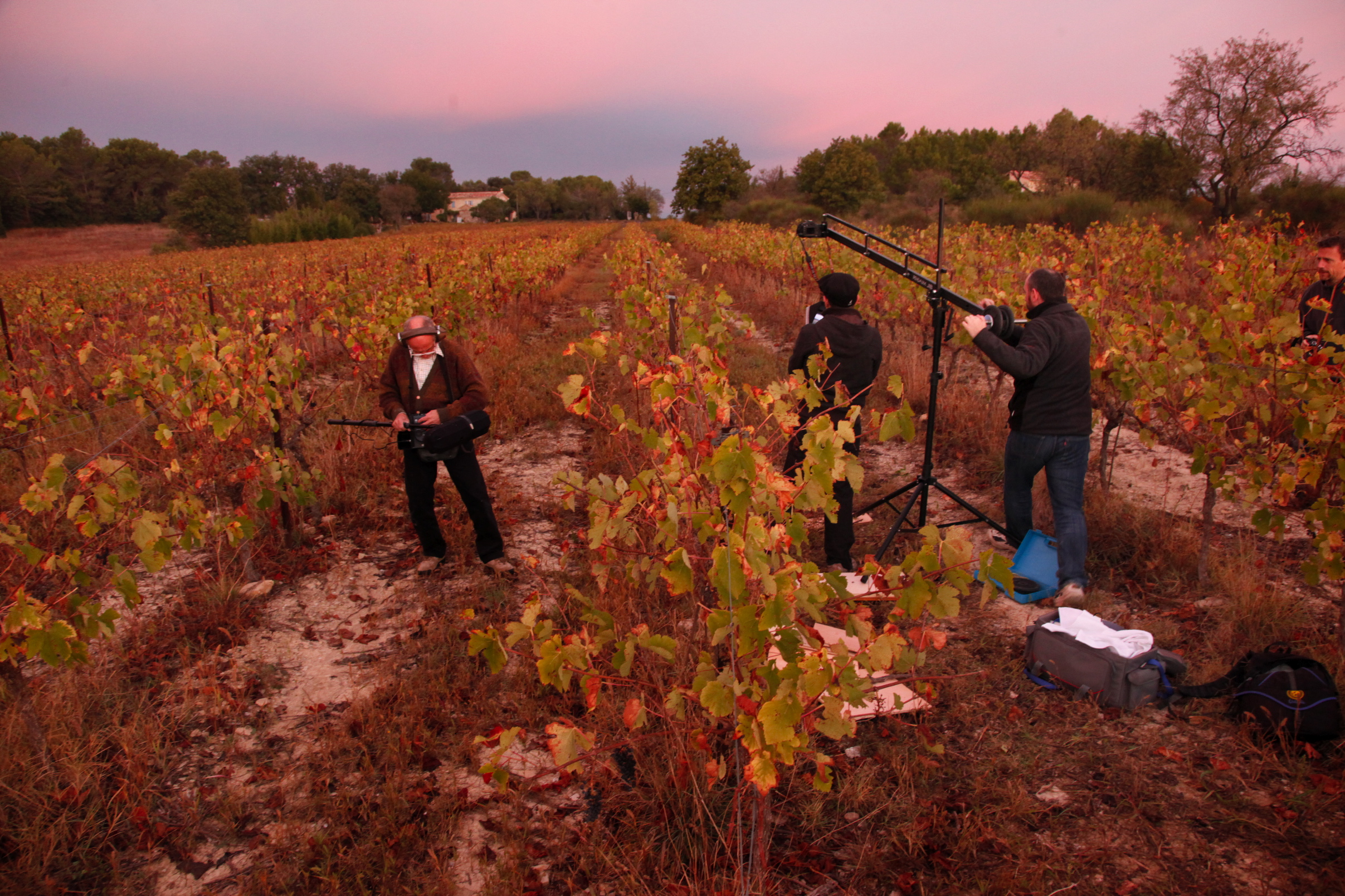 Une équipe de tournage filme dans les vignes du Mas d'Alphonse au crépuscule.