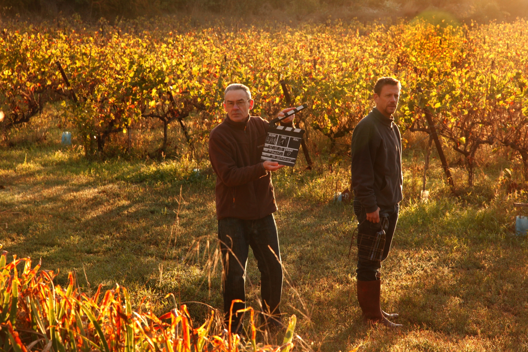 Deux hommes dans la vigne à contre-jour, un clap à la main.