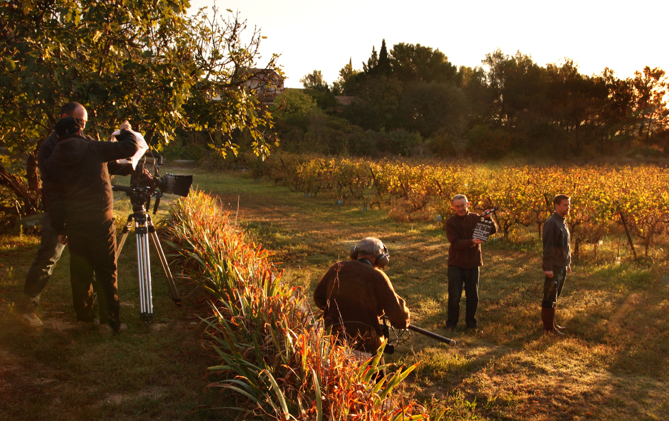 Équipe de tournage filmant dans les vignes rousses à contre-jour.