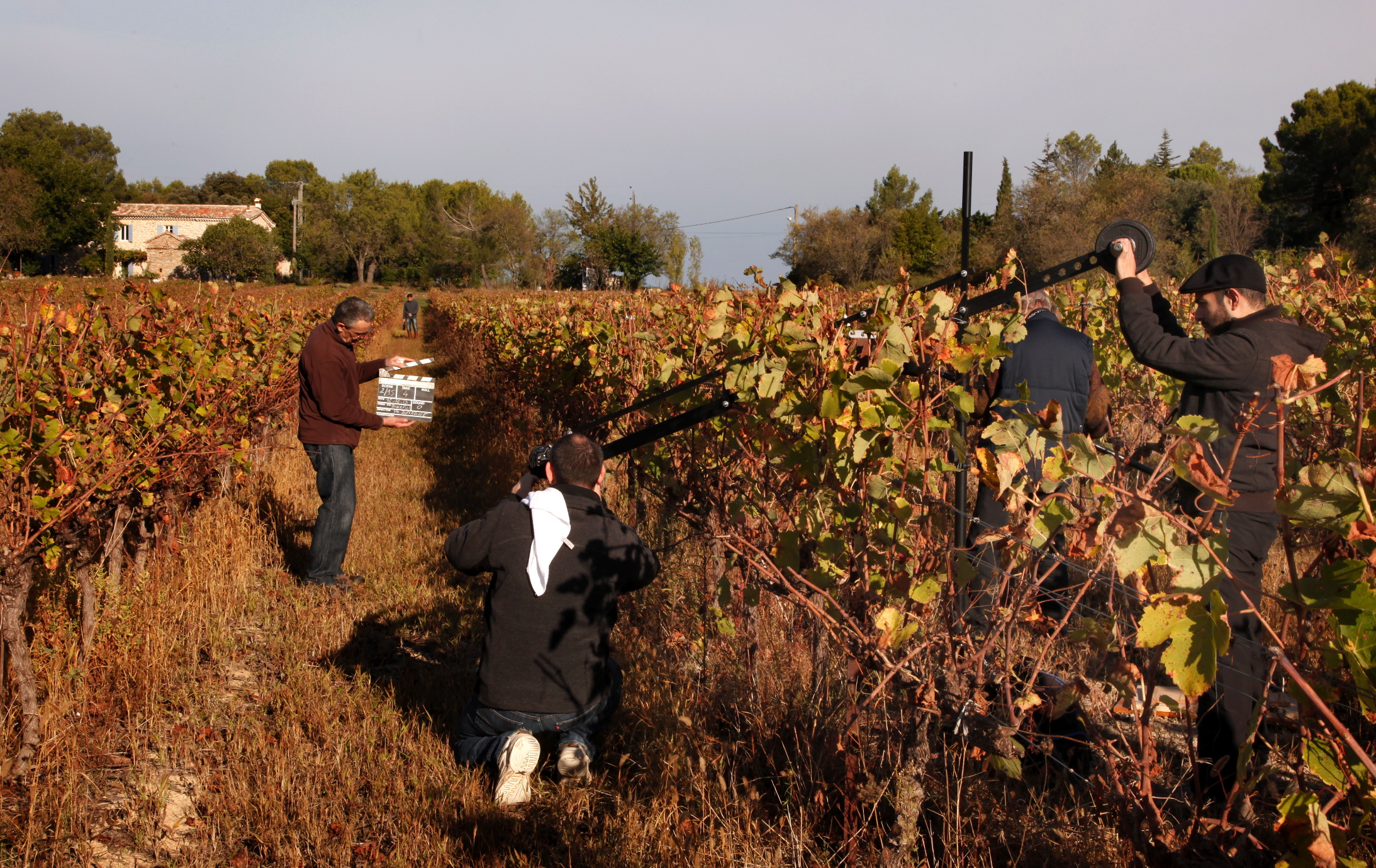 Prise de vue à hauteur de vigne, la demeure en pierre en arrière-plan.