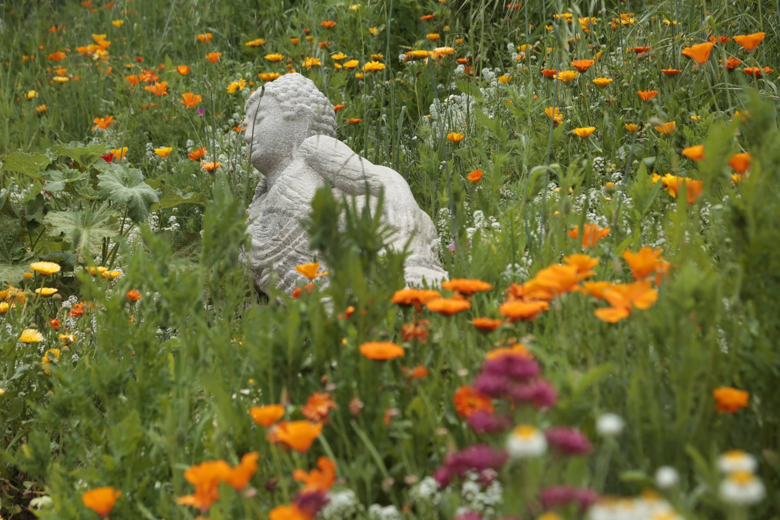 Bouddha couché fleuri dans le jardin du Mas d’Alphonse
