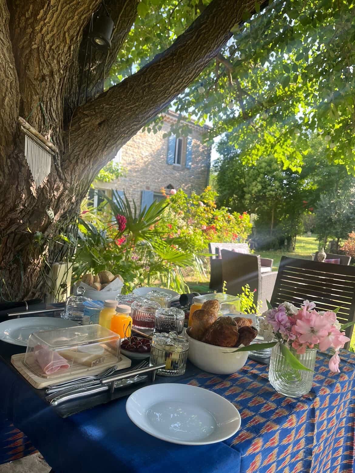 Petit-déjeuner servi à l’ombre d’un grand arbre, vue sur le mas