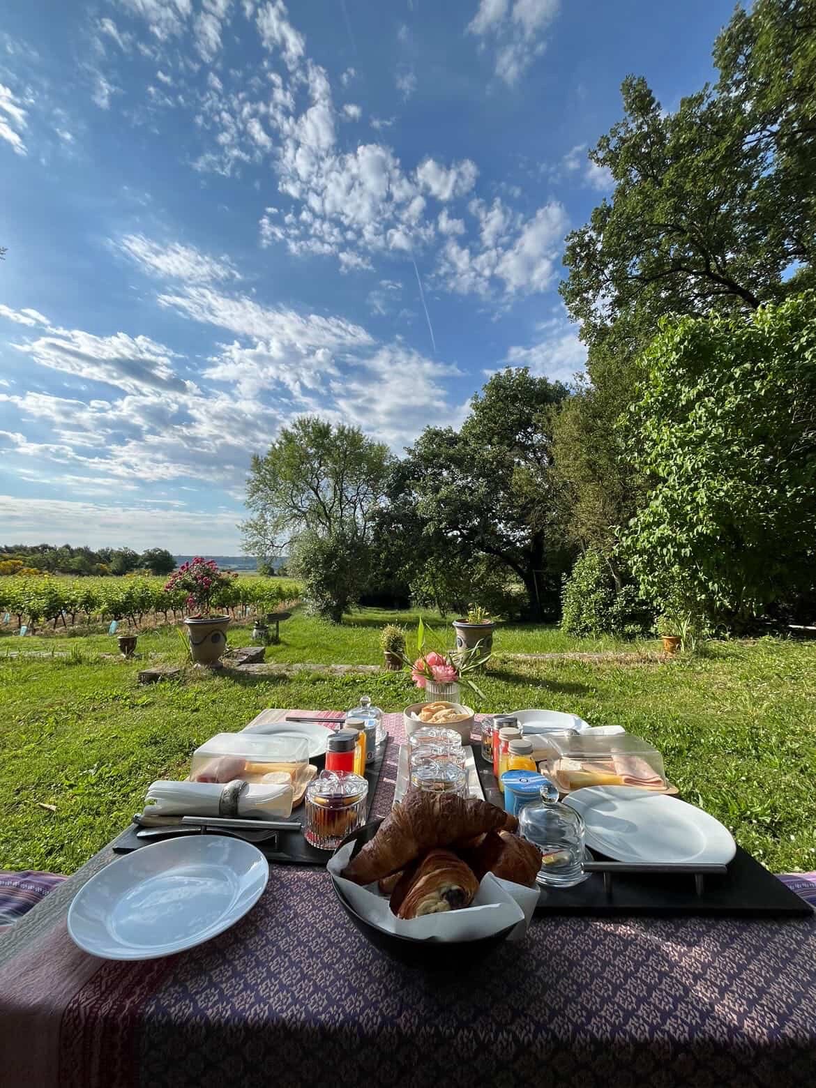 Petit-déjeuner dressé en terrasse face aux vignes du Mas d’Alphonse